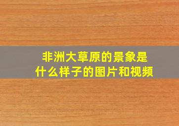 非洲大草原的景象是什么样子的图片和视频