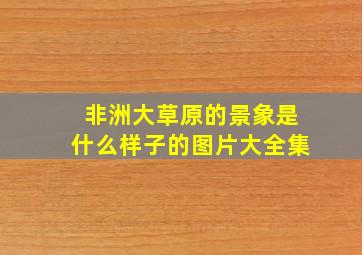 非洲大草原的景象是什么样子的图片大全集