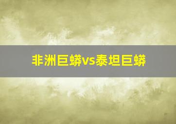 非洲巨蟒vs泰坦巨蟒