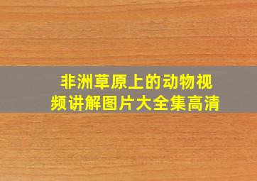 非洲草原上的动物视频讲解图片大全集高清