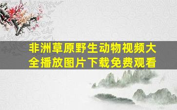 非洲草原野生动物视频大全播放图片下载免费观看