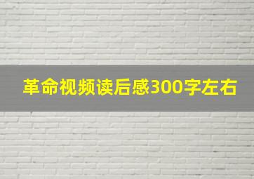 革命视频读后感300字左右