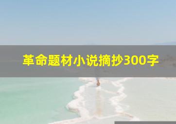 革命题材小说摘抄300字