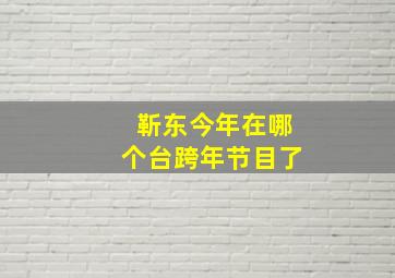 靳东今年在哪个台跨年节目了