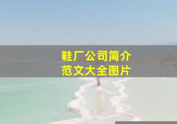 鞋厂公司简介范文大全图片