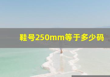 鞋号250mm等于多少码