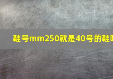 鞋号mm250就是40号的鞋吗