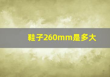 鞋子260mm是多大