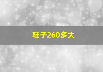 鞋子260多大