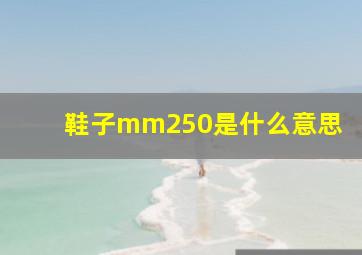 鞋子mm250是什么意思