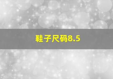 鞋子尺码8.5