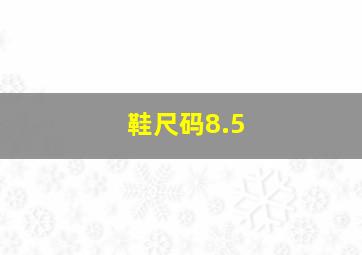 鞋尺码8.5