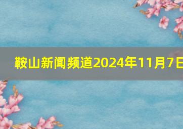 鞍山新闻频道2024年11月7日