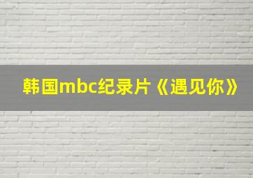 韩国mbc纪录片《遇见你》