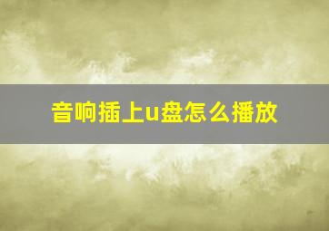 音响插上u盘怎么播放