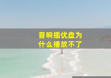 音响插优盘为什么播放不了