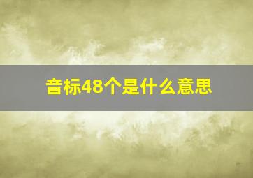 音标48个是什么意思