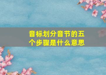 音标划分音节的五个步骤是什么意思