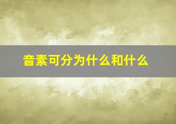 音素可分为什么和什么