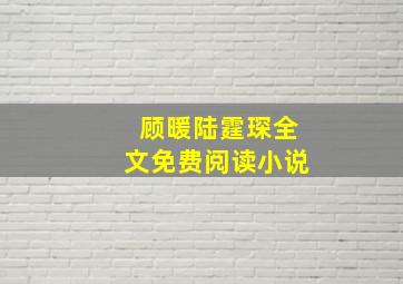 顾暖陆霆琛全文免费阅读小说