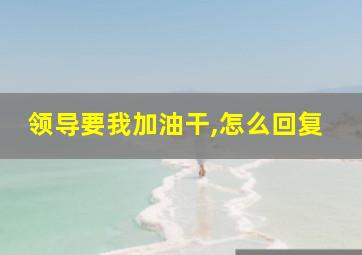 领导要我加油干,怎么回复