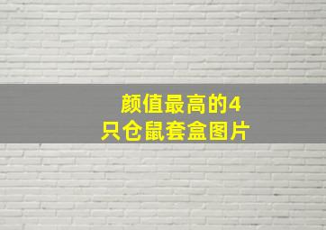 颜值最高的4只仓鼠套盒图片