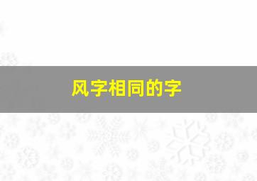 风字相同的字