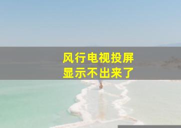 风行电视投屏显示不出来了