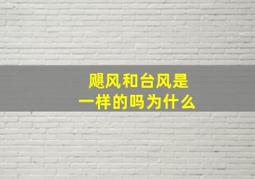 飓风和台风是一样的吗为什么