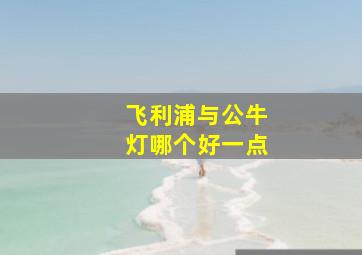 飞利浦与公牛灯哪个好一点