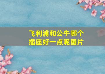 飞利浦和公牛哪个插座好一点呢图片