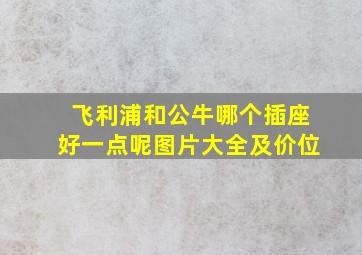 飞利浦和公牛哪个插座好一点呢图片大全及价位