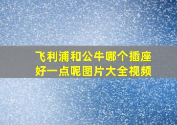 飞利浦和公牛哪个插座好一点呢图片大全视频