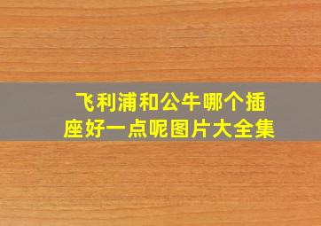 飞利浦和公牛哪个插座好一点呢图片大全集