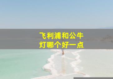 飞利浦和公牛灯哪个好一点