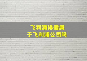 飞利浦排插属于飞利浦公司吗