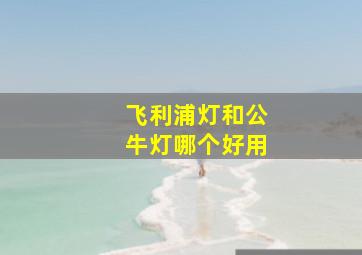 飞利浦灯和公牛灯哪个好用