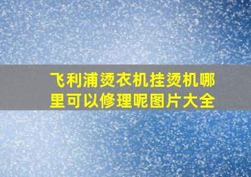 飞利浦烫衣机挂烫机哪里可以修理呢图片大全