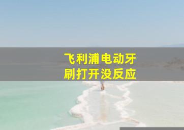 飞利浦电动牙刷打开没反应