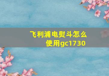 飞利浦电熨斗怎么使用gc1730