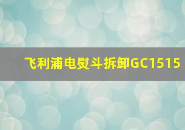 飞利浦电熨斗拆卸GC1515