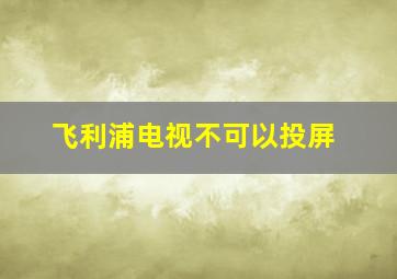 飞利浦电视不可以投屏