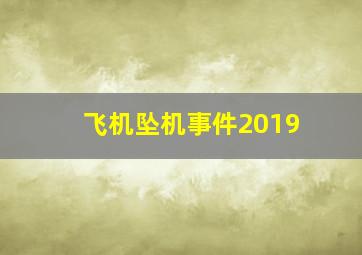 飞机坠机事件2019