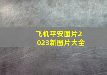 飞机平安图片2023新图片大全