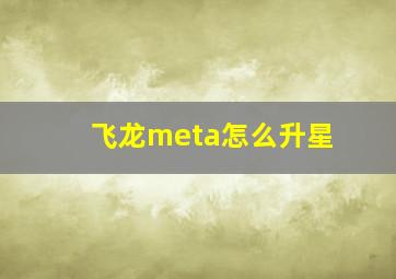 飞龙meta怎么升星