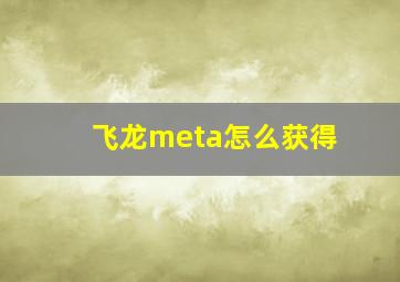 飞龙meta怎么获得