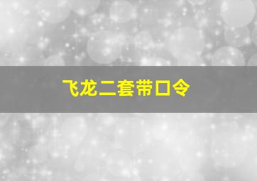 飞龙二套带口令