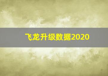 飞龙升级数据2020