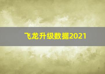 飞龙升级数据2021