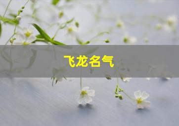 飞龙名气